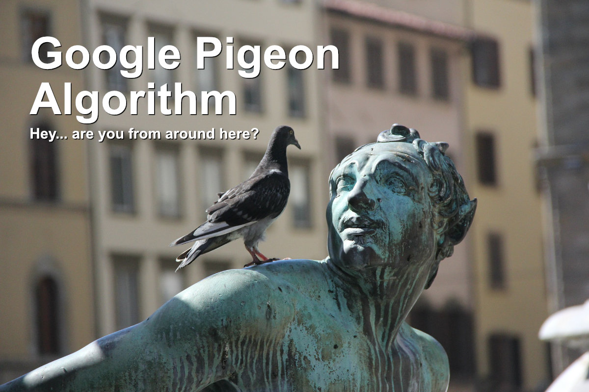 Pigeon On A Statue In A Town - Google Pigeon Algorithm