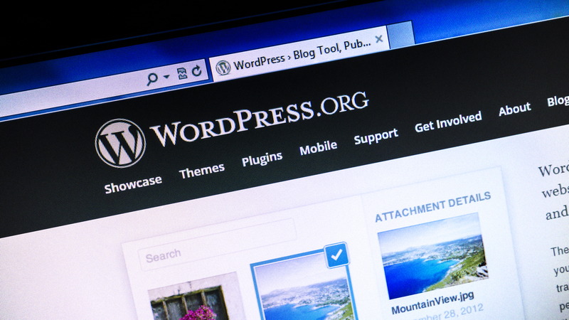 6 Free Plugins To Help You Up Your WordPress Game 2